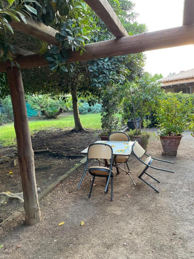 סארוק Natura & Relax Ficus מראה חיצוני תמונה