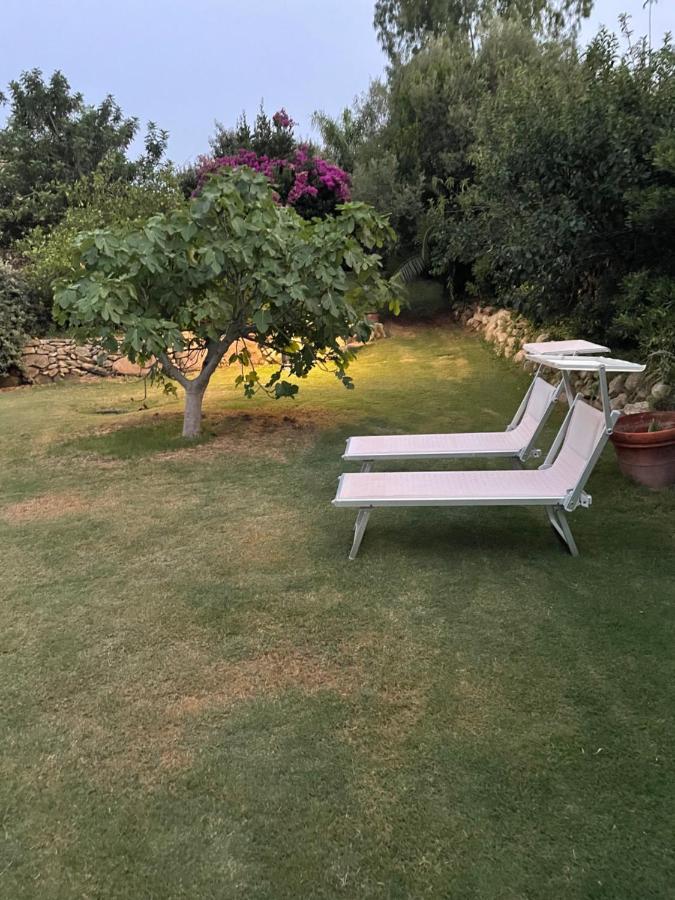 סארוק Natura & Relax Ficus מראה חיצוני תמונה